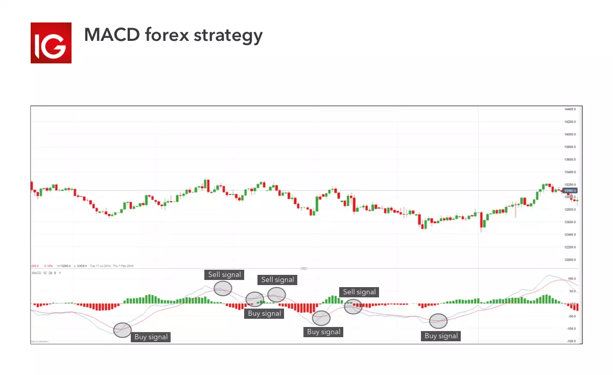 MACD forex strategy
